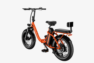 LKP C23