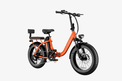 LKP C23